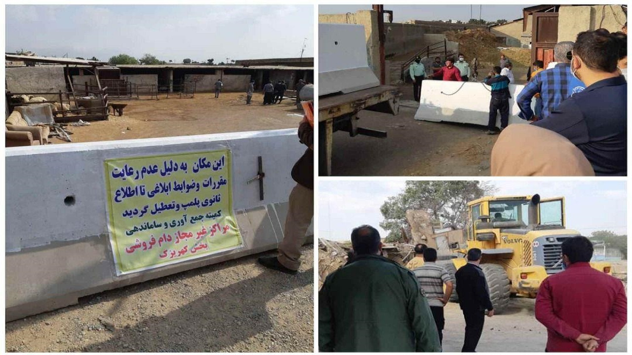 توقف فعالیت ۱۹ واحد آلاینده عرضه دام در شهرستان ری