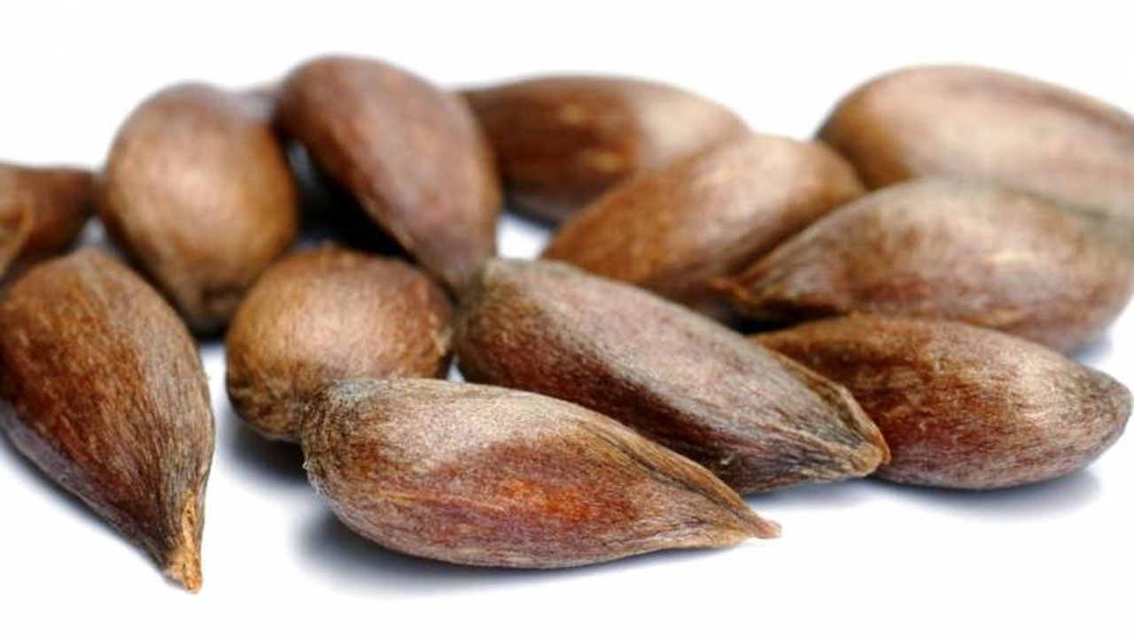 مراقب سیانور میان این میوه باشید!