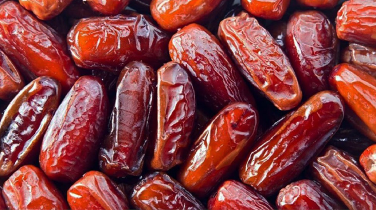 از نخلستان تا فضای مجازی