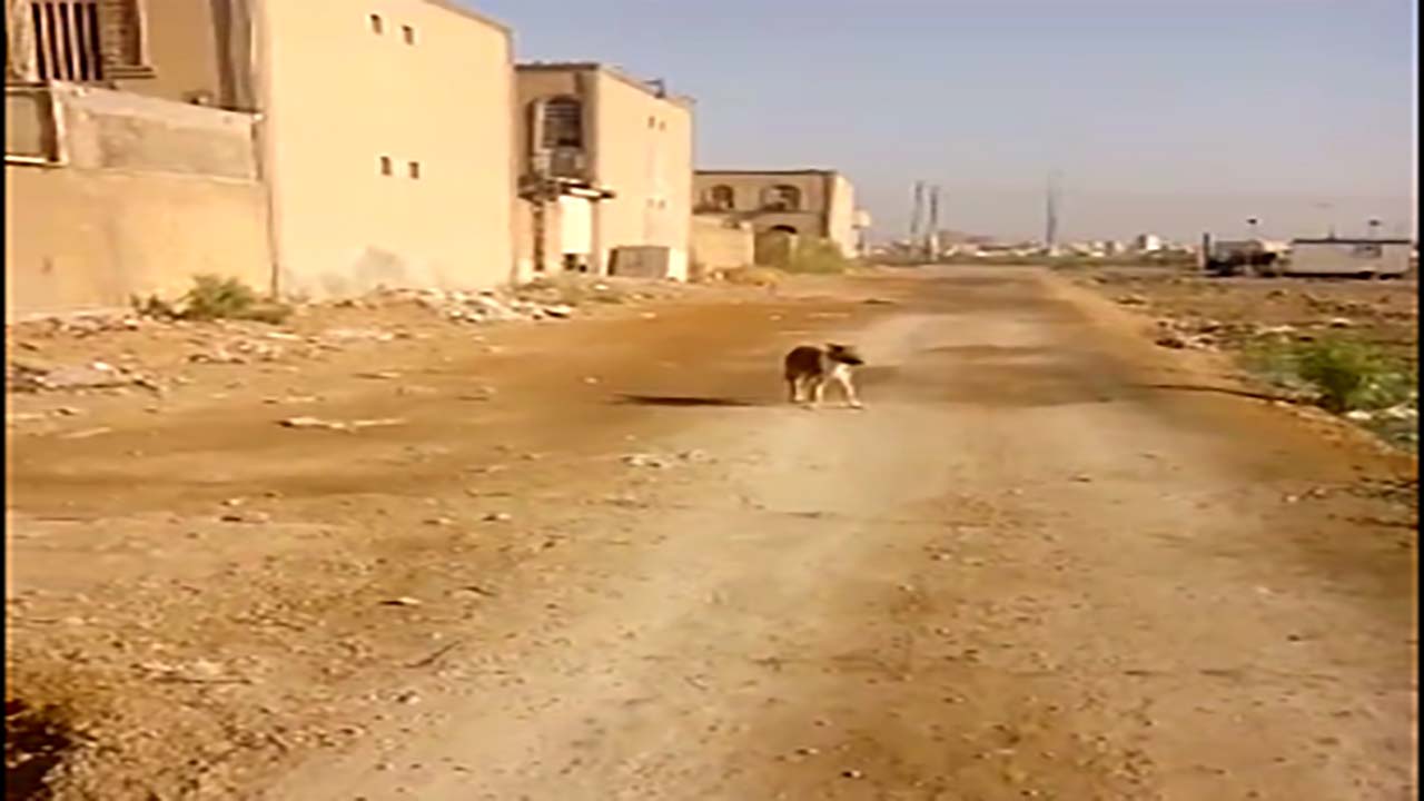 از