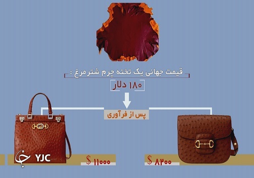 شترمرغ داران در خواب غفلت و سود&zwnj;های کلان در جیب اروپاییان