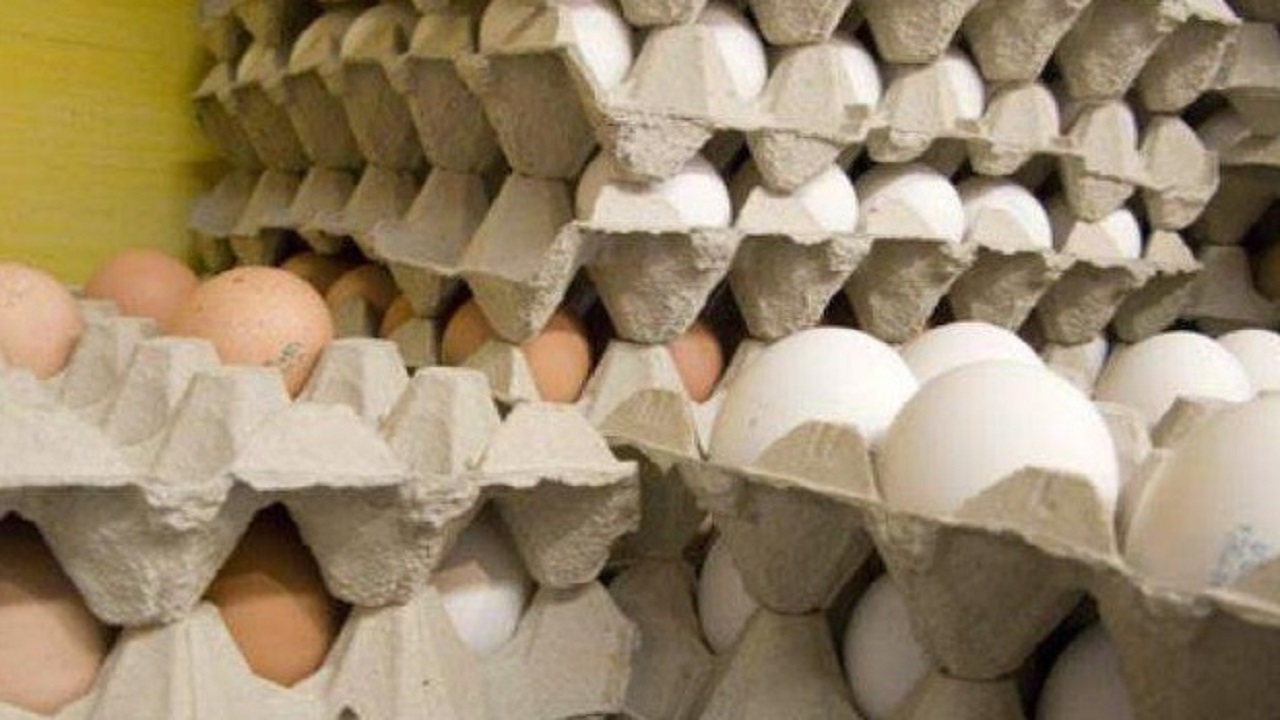 توقیف ۷۴ تن تخم مرغ غیر بهداشتی در مشهد