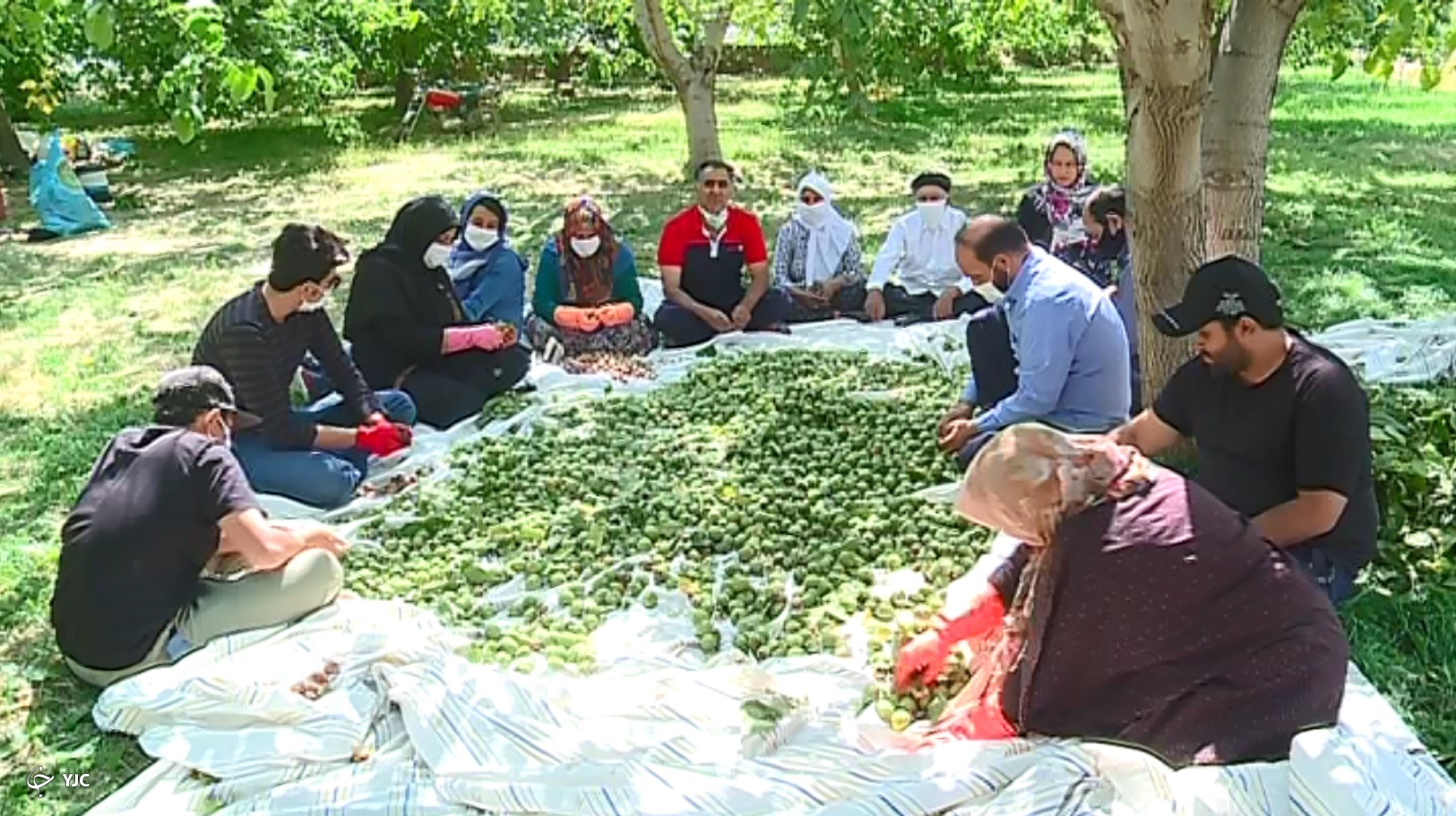 زندگی خوش زوج شازندی در کنار ۹ فرزند