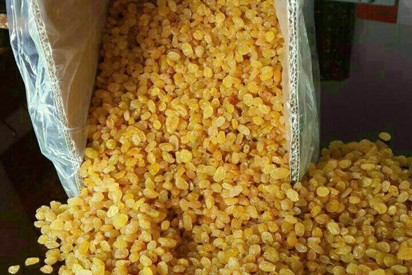 تجهیز ۸ کارخانه کشمش پاک کنی شهرستان ملایر به لیزر