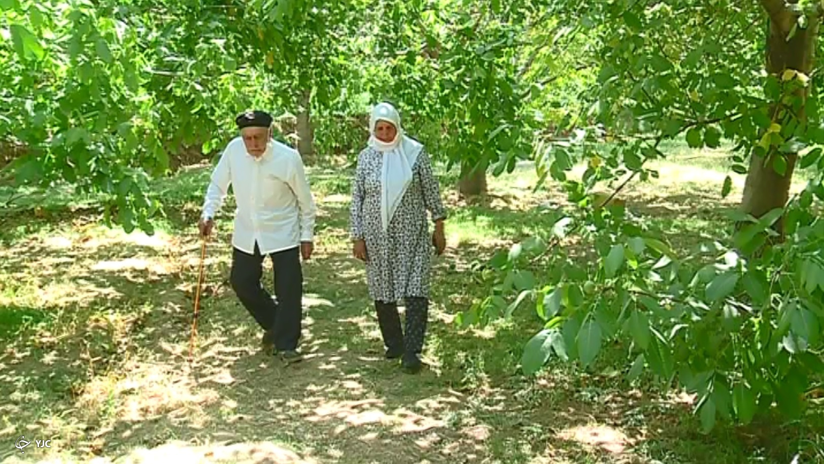 حاجی بابا و خاله منیر در باغ گردو زندگی خوش زوج شازندی در کنار ۹ فرزند
