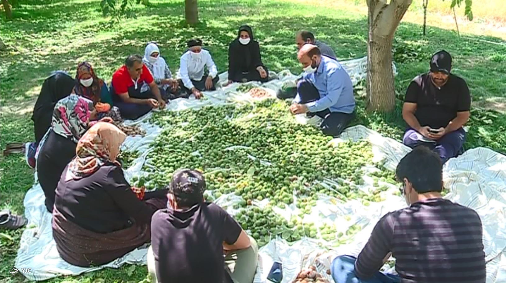 کمک فرزندان و نوه ها به حاجی بابا و خاله منیر زندگی خوش زوج شازندی در کنار ۹ فرزند