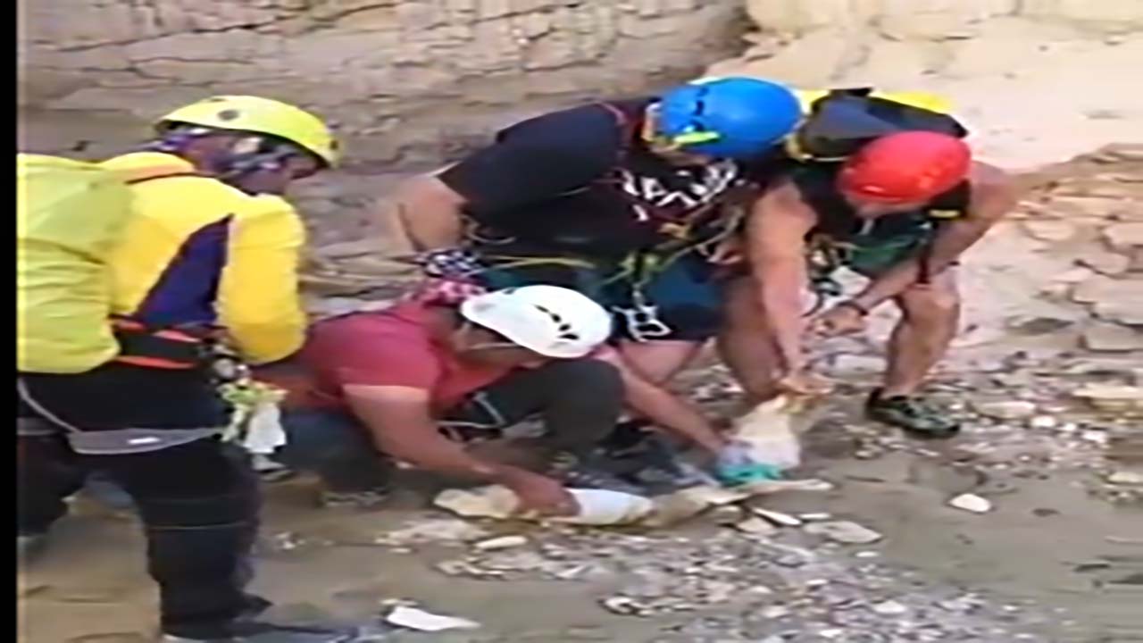 نجات سر روباه از دبه ماست + فیلم