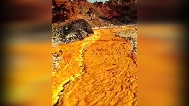 نمک زعفرانی در رودخانه طلا + فیلم