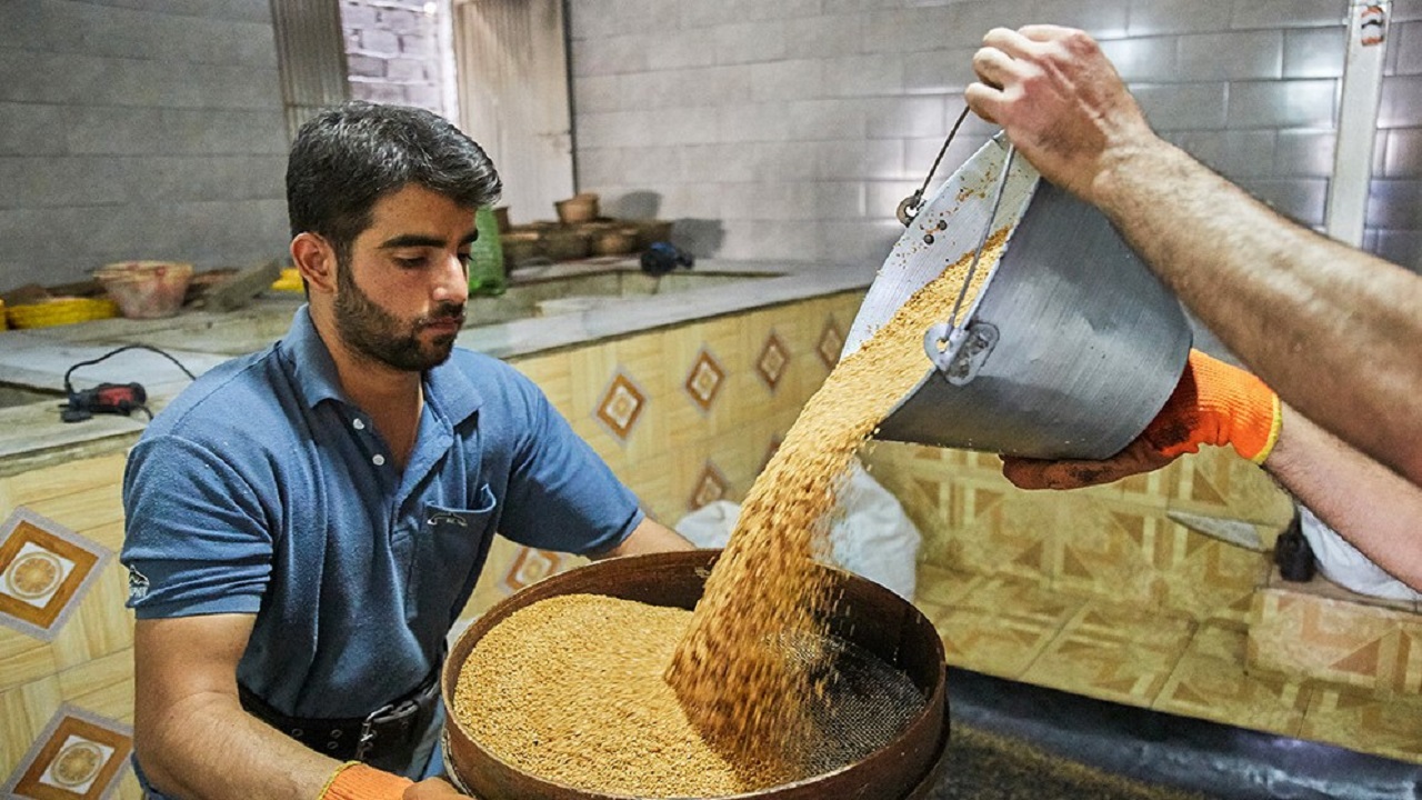 همه چیز درباره کشت کنجد