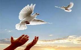 آزادی ۲۰ محکوم مالی در اسدآباد