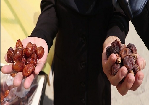 دستگاه خشک کن خرما تونلی