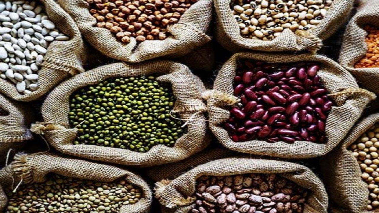سه غذای گیاهی جایگزین گوشت