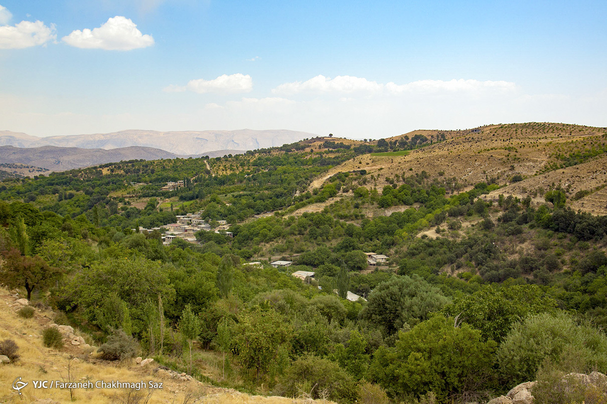 طلای سبز