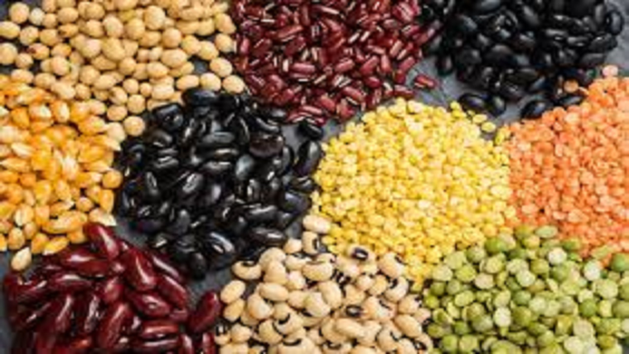 قیمت جدید انواع حبوبات بسته بندی