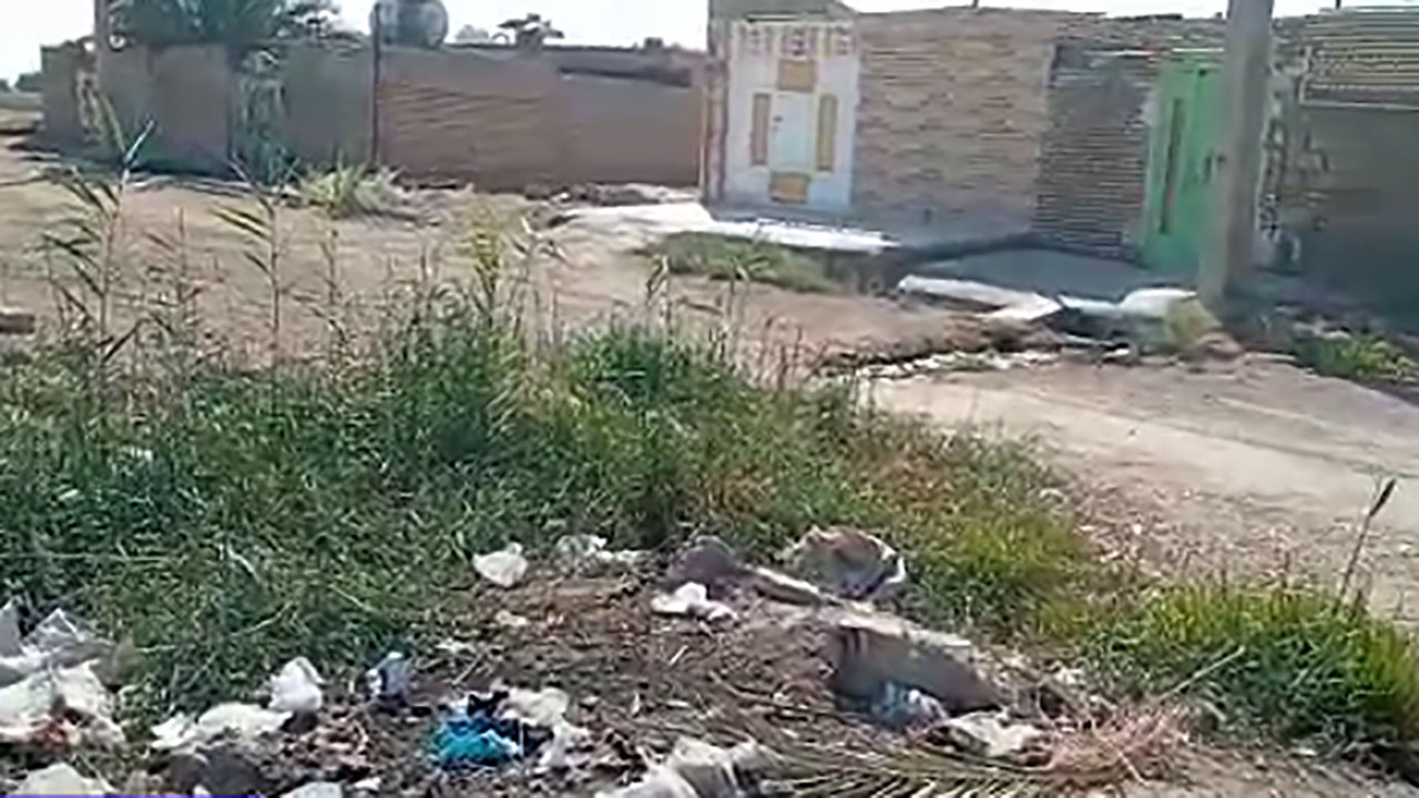 گلایه از بهداشت اسفناک معابر در شهرک شهید نورمحمدی + فیلم