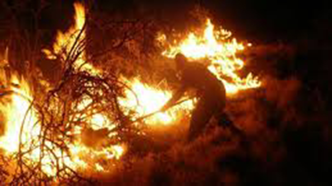 آتش سوزی در ارتفاعات پارک ملی بمو مهار شد