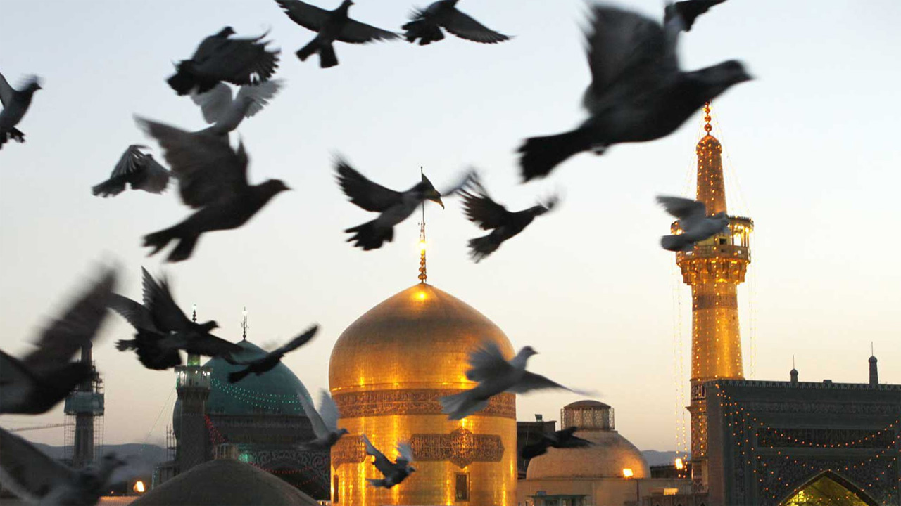 چطور به امام رضا (ع) توسل کنیم و حاجت بخواهیم؟! + نحوه خواندن نماز حاجت امام رضا (ع)