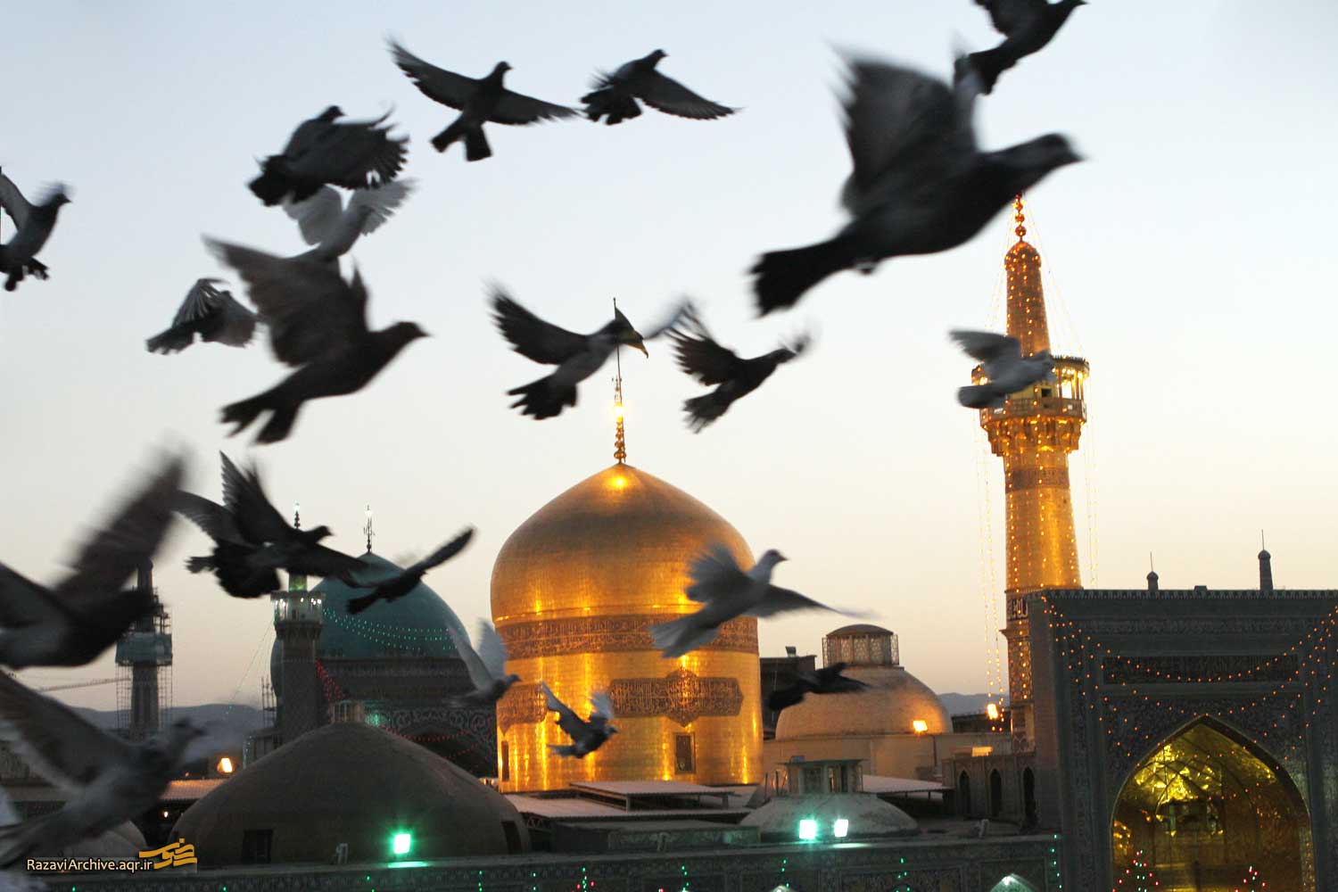 در ایستگاه عشق هشتم!
