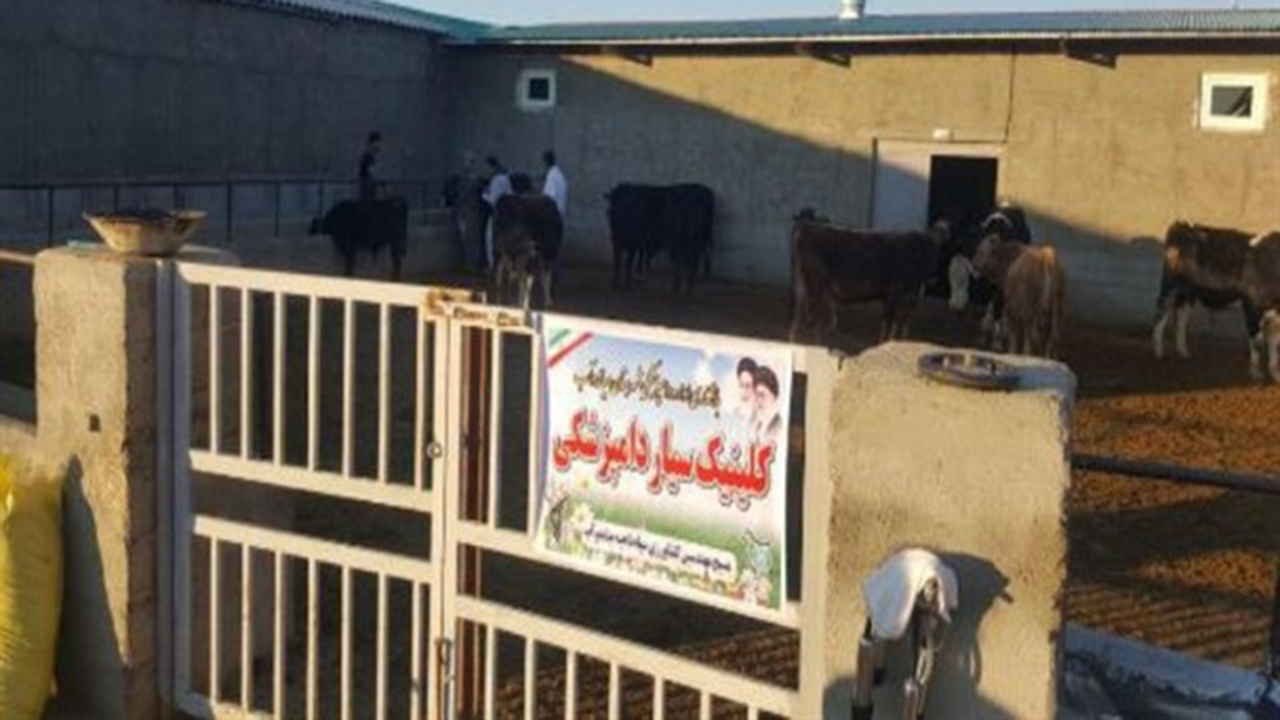 راه‌اندازی کلینیک دامپزشکی سیار برای ارائه خدمات به عشایر فارس