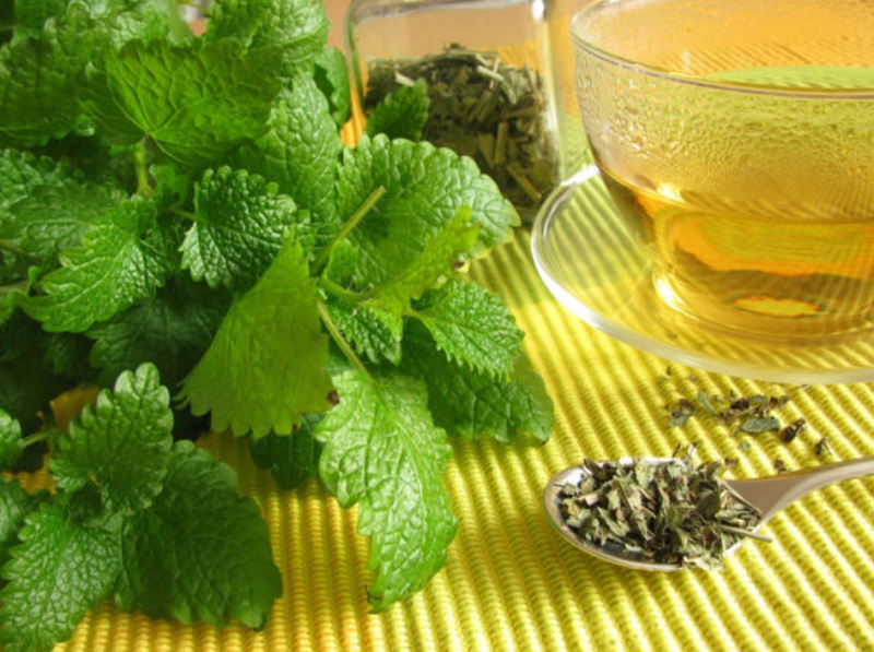 با بهترین چای&zwnj;های لاغری و چربی سوز آشنا شوید + تصاویر