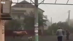 حادثه دردناک در مرکز خرید مسکو + فیلم