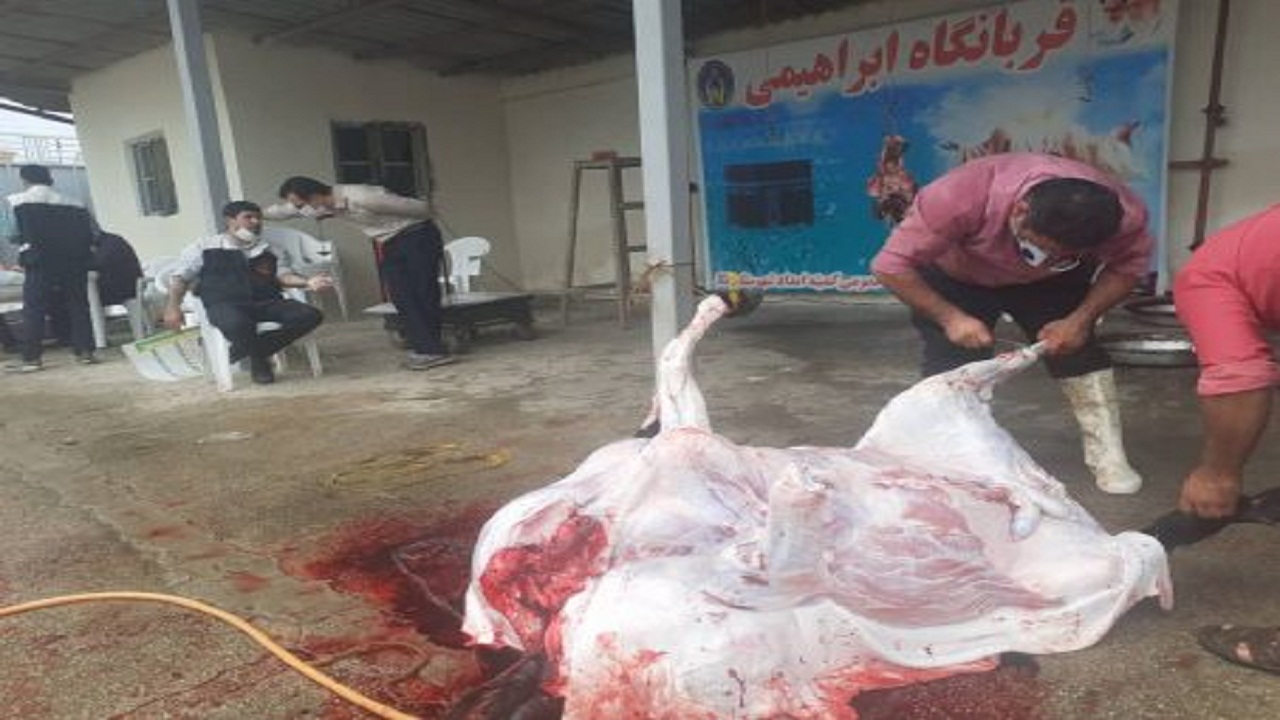 رشد ۱۴۱ درصدی نذر قربانی استان سمنان نسبت به سال گذشته