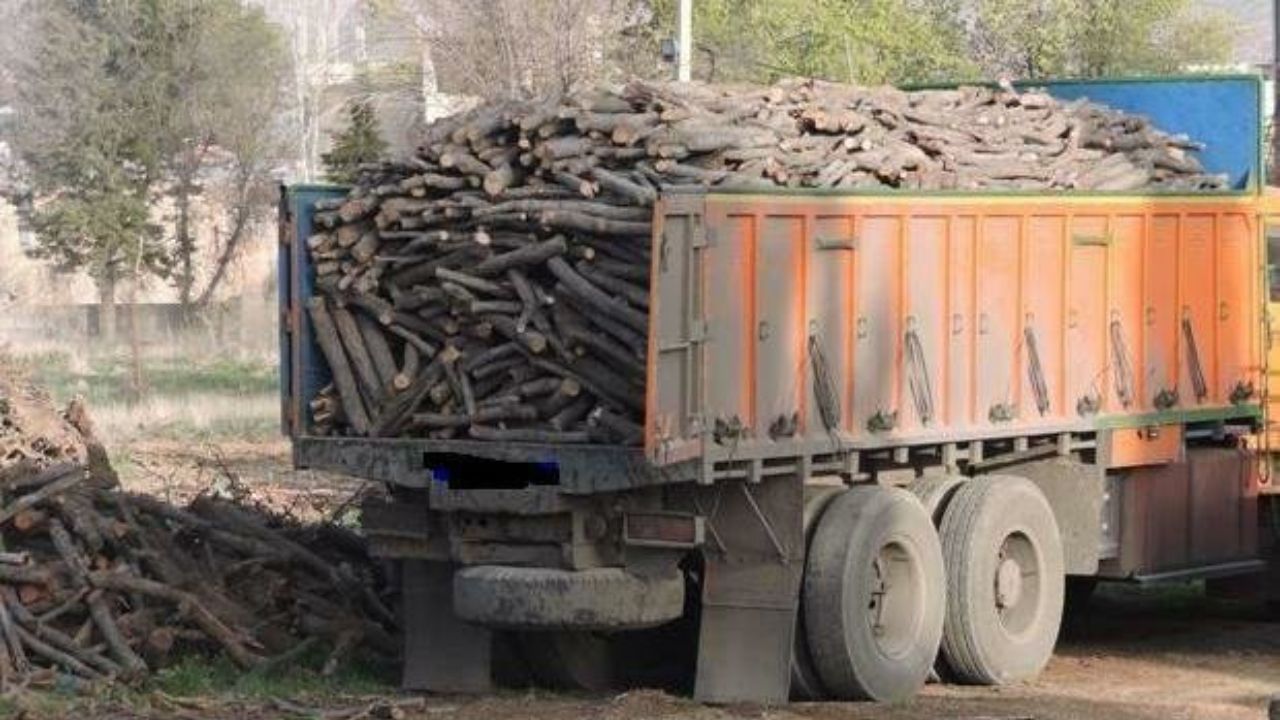 کشف ۳۳۵ تن چوب قاچاق در اصفهان