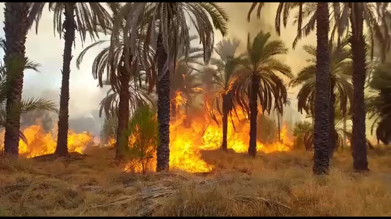 آتش سوزی در باغات روستای گجگ پشتکوه + فیلم