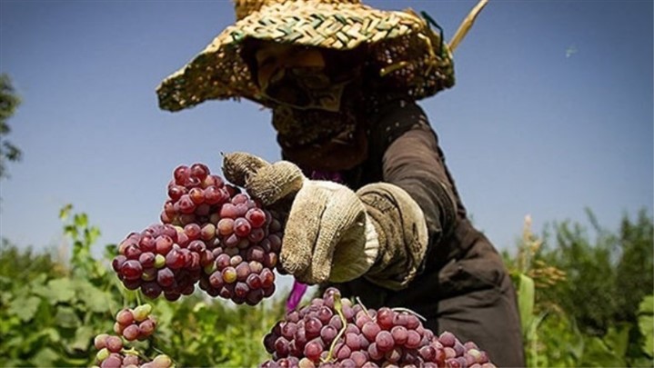 سند اشتغال در ۵ روستای آذربایجان‌شرقی در حال اجراست