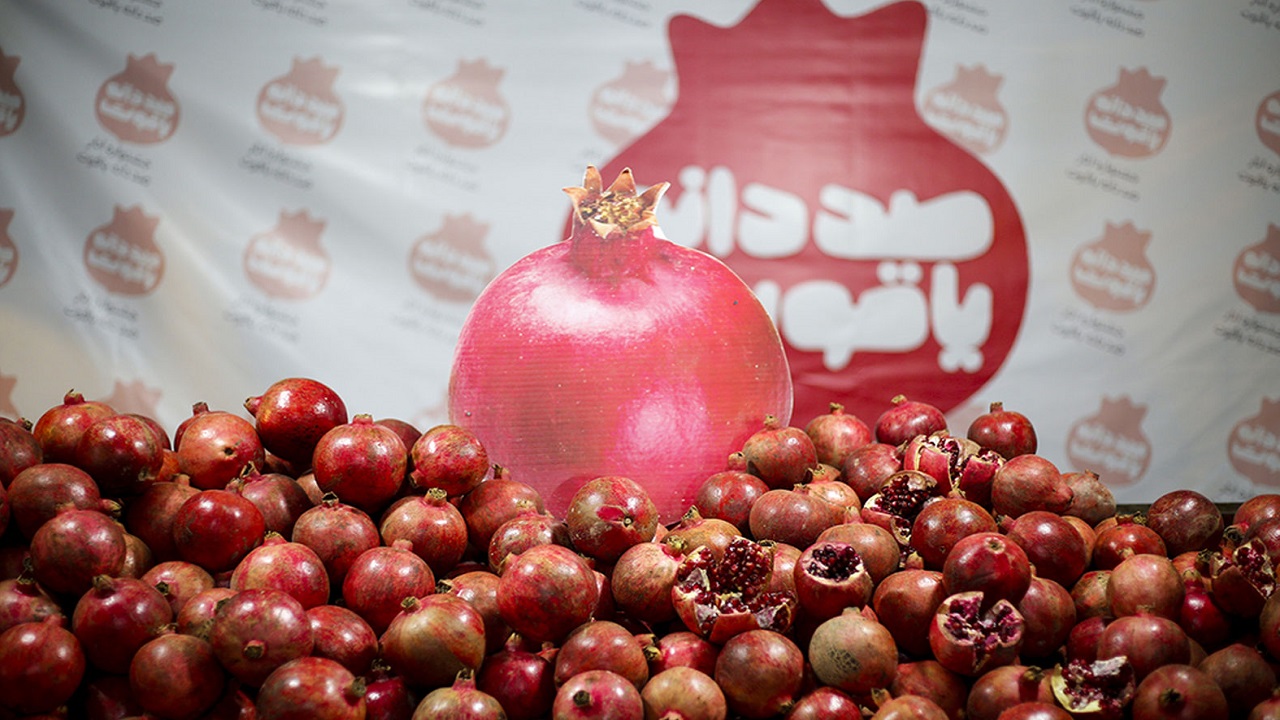 لغو جشنواره انار