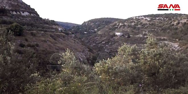 تصاویری زیبا از مناطق مختلف سوریه