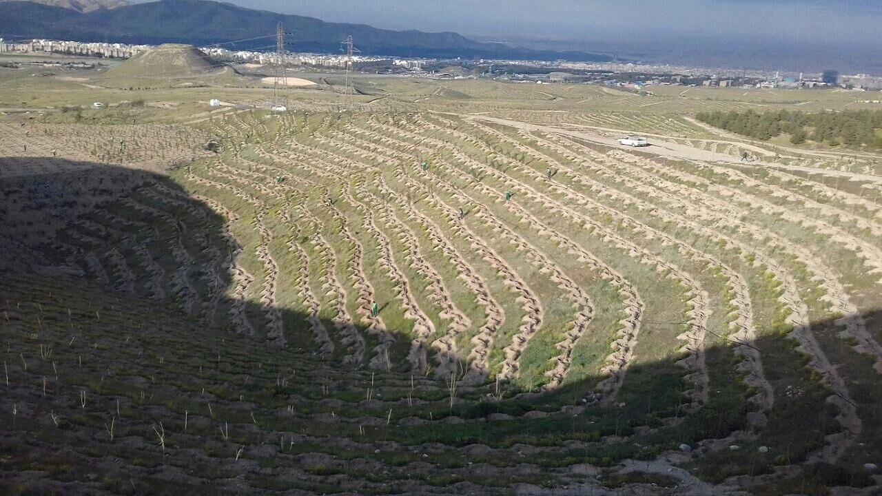 ایجاد ۲۲ کیلومتر کمربند حفاظتی منابع طبیعی در استان سمنان
