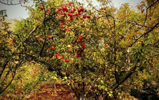 غار مغان،گنجینه اسرار و افسانه&zwnj;ها در خراسان رضوی