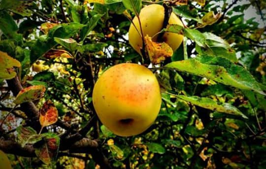 غار مغان،گنجینه اسرار و افسانه&zwnj;ها در خراسان رضوی