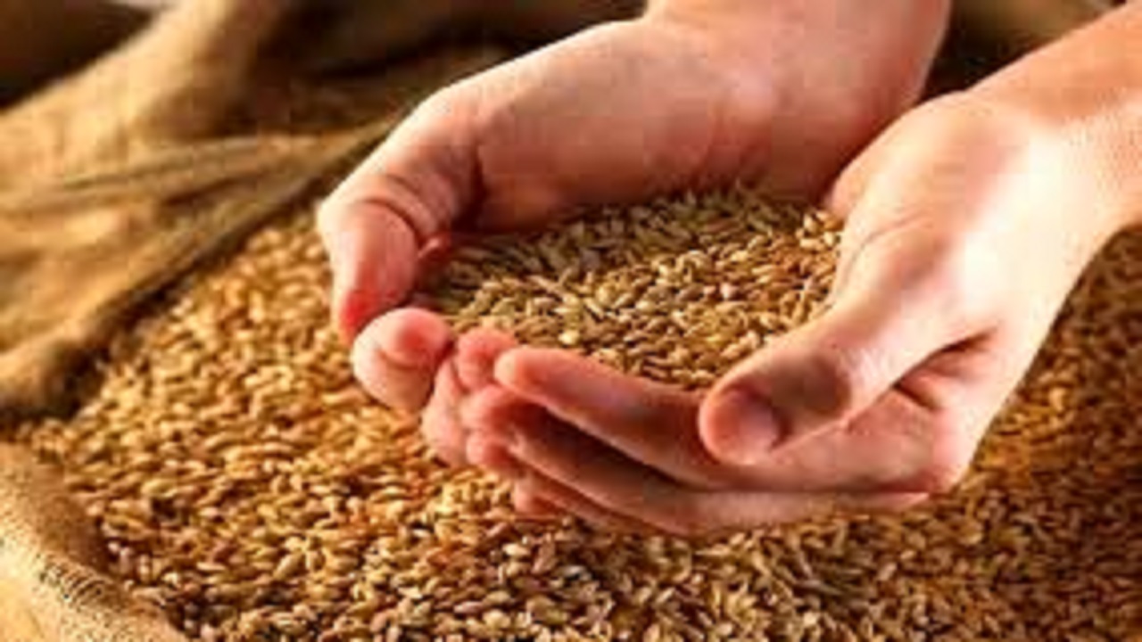 آمادگی ۷۳ کلینیک گیاه پزشکی و فروشگاه برای تهیه بذر مناسب
