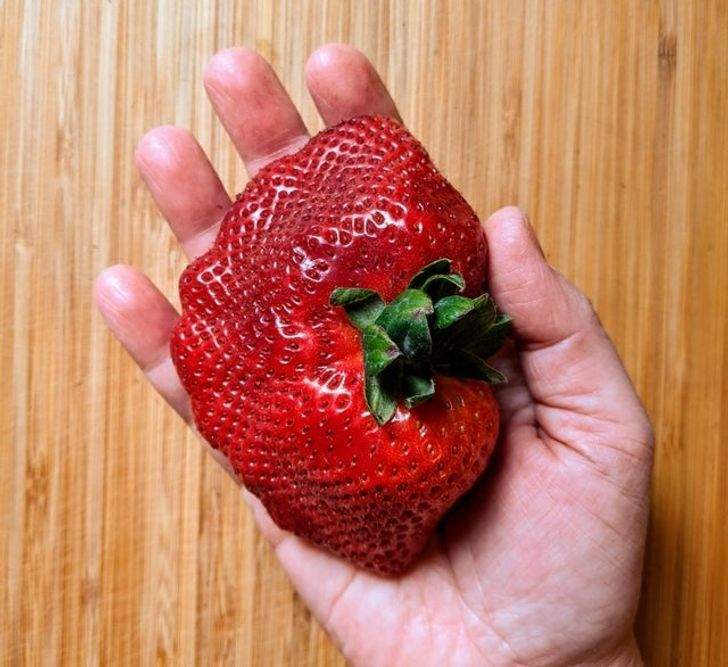 عکس هایی جالب از اندازه های عجیب