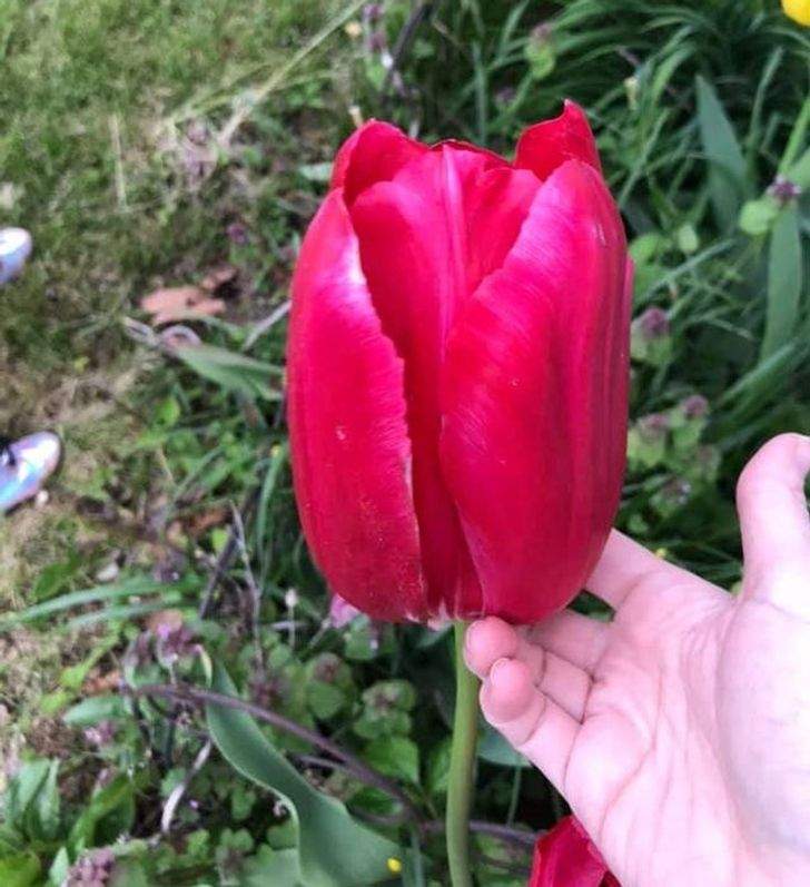 عکس هایی جالب از اندازه های عجیب
