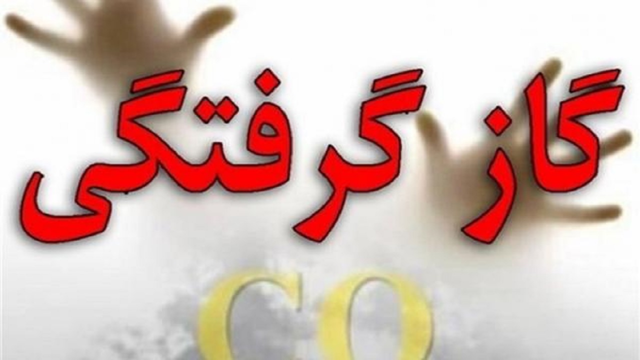 فوت ۷۸۴ نفر بر اثر مسمومیت با گاز منوکسیدکربن در سال گذشته