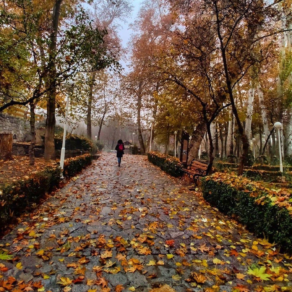 نقش دل فریب رنگ ها در قاب پاییز