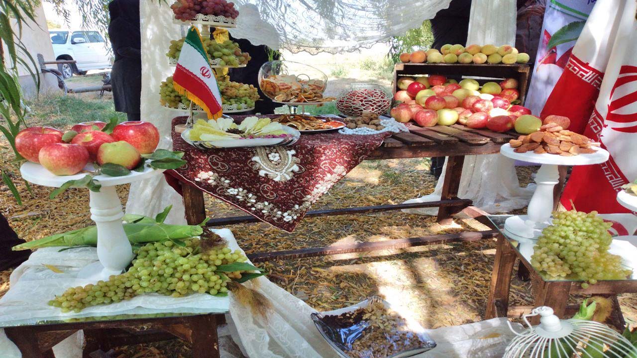 برگزاری آیین برداشت سیب و انگور در روستای اقکند + فیلم و تصاویر