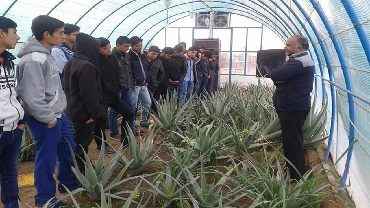 هنرستان کشاورزی در بجنورد ایجاد شد
