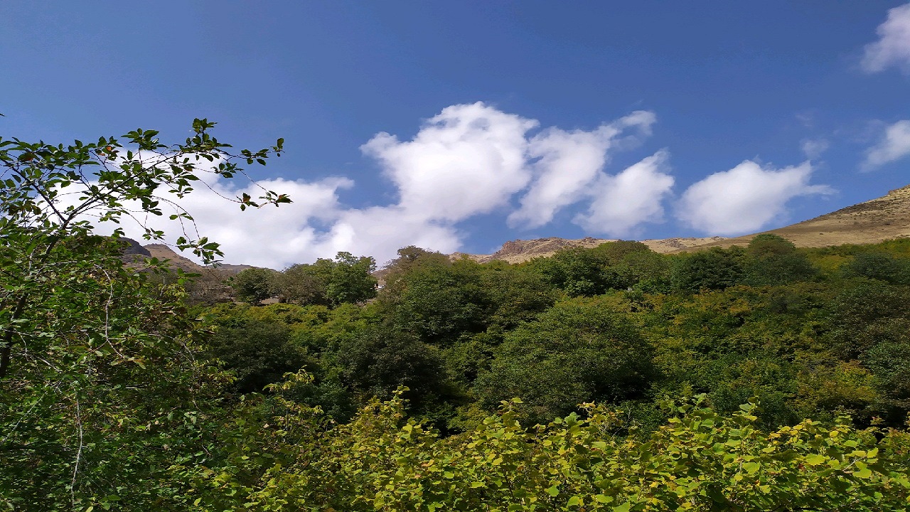 نمایی از طبیعت بکر در روستای پرچینه + تصاویر