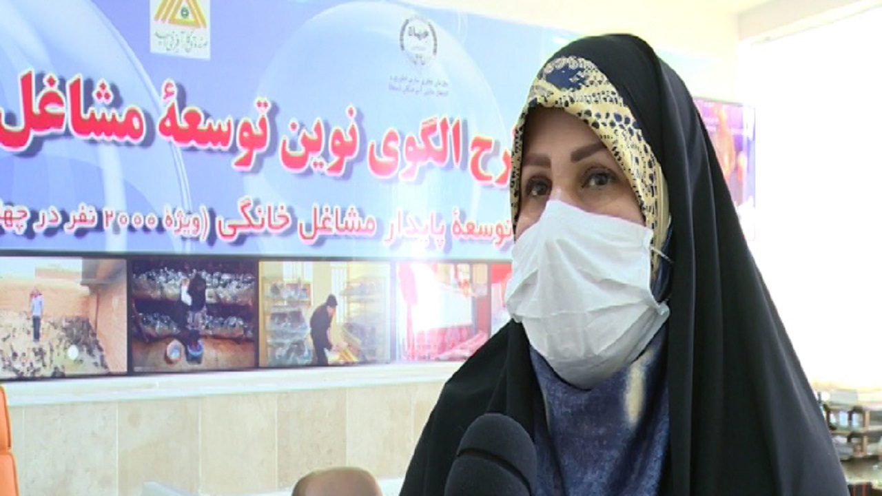 طرح ملی مشاغل خانگی اجرا می‌شود