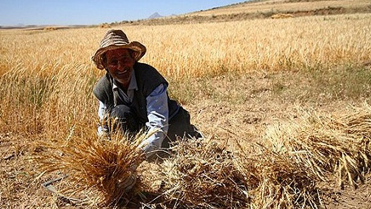 آغاز طرح ملی بیمه روستایی در شهرستان قیروکارزین