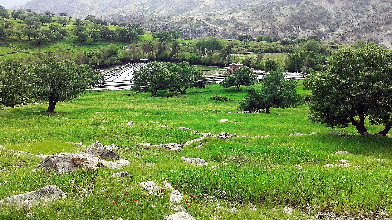 عملیات ساخت و ساز در تنگه آبزا ایذه متوقف شد
