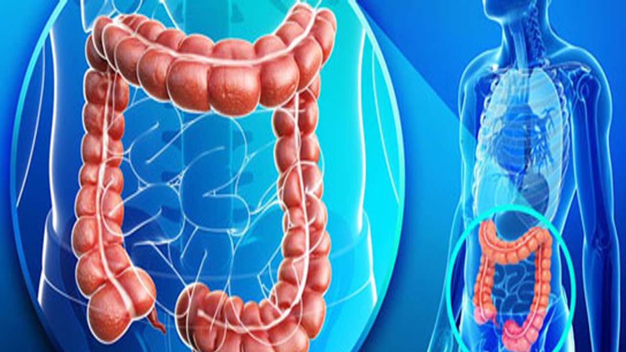 چگونه سلامت روده را افزایش دهیم؟