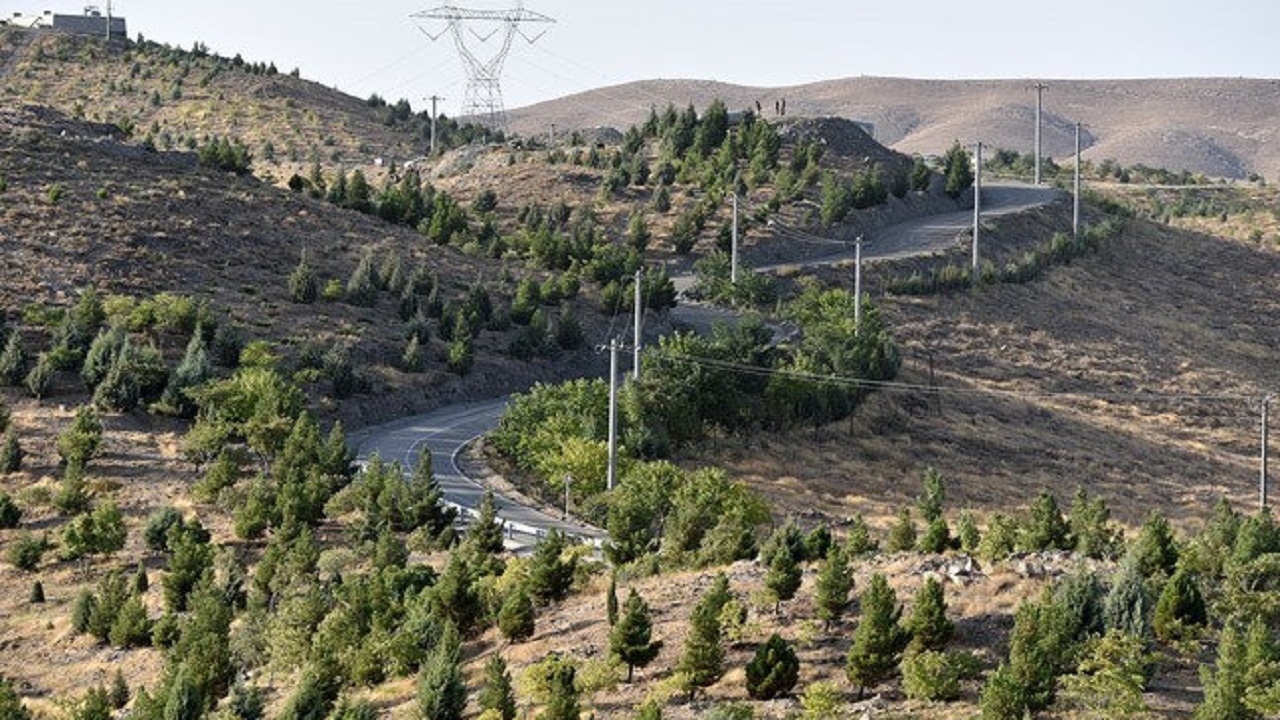 کاشت بیش از ۴۴۰ هزار اصله درخت در کمربند سبز جنوبی مشهد