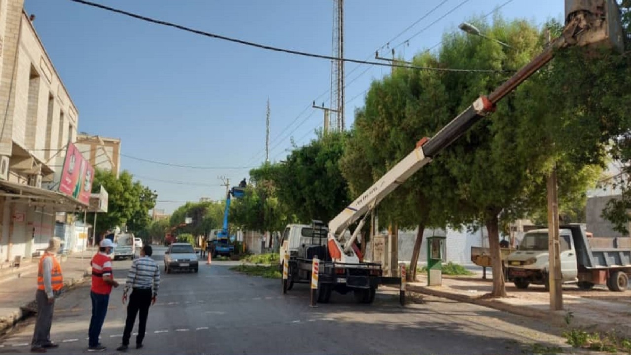 درختان بوشهر برای ایمن سازی شبکه برق هرس شدند