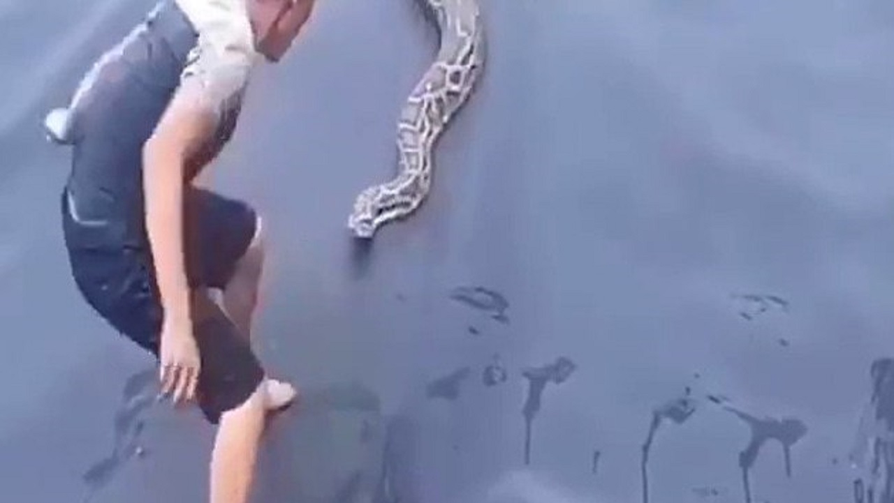 لحظه وحشتناک حمله مار غول پیکر به مرد جوان!