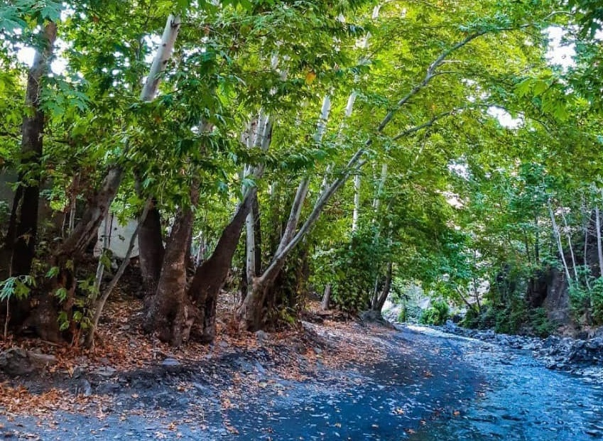 طبیعت پاییزی طرقدر